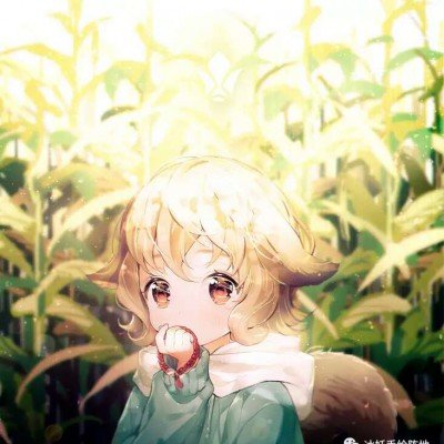 《AC：起源》大师级玩家截图 古埃及美景一览无余